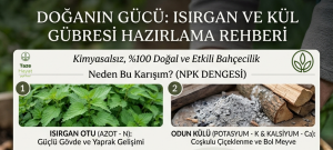Isırgan Otu ve Kül