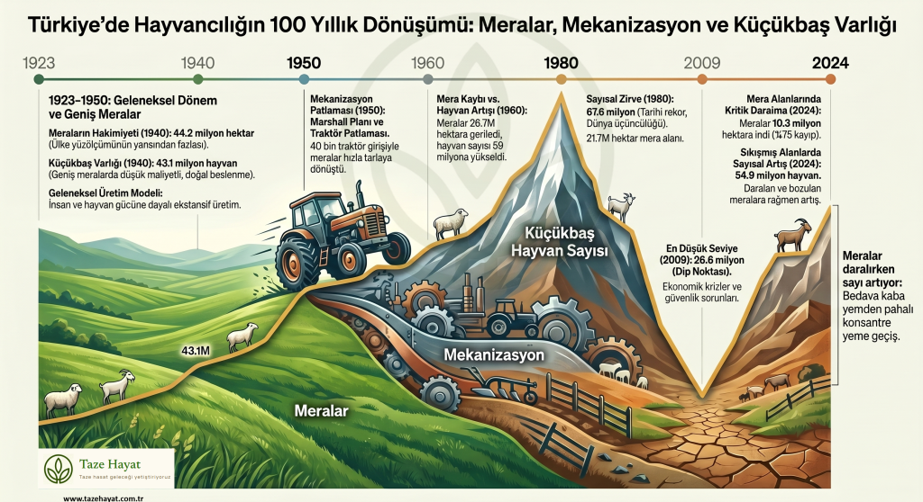 Mera Alanları-2