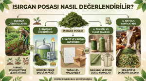 Isırgan otu posasının değerlendirilmesi