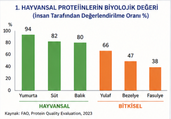 Hayvancılık 1