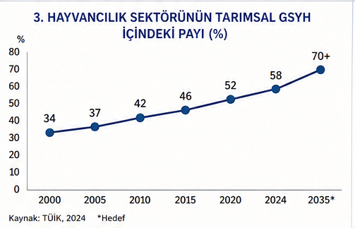 Hayvancılık Sektörü
