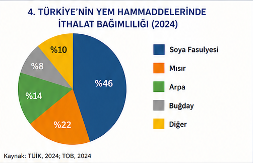 Hayvancılık sektörü