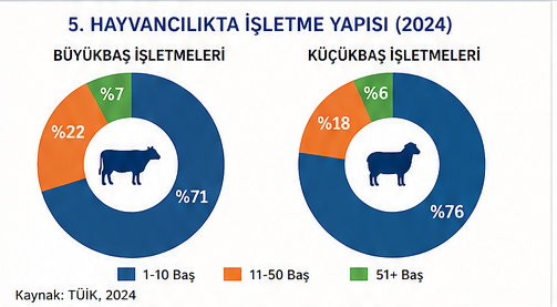 Hayvancılık Sektörü 45