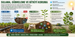 Yaz sıcaklarında tarla yönetimi