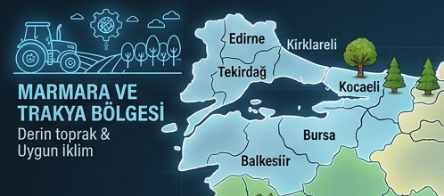 marmara