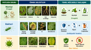 Bitki hastalıkları ve entegre mücadele (IPM)