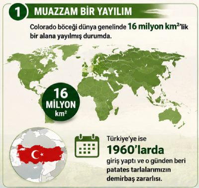 Dünyada Muazzam Yayılım