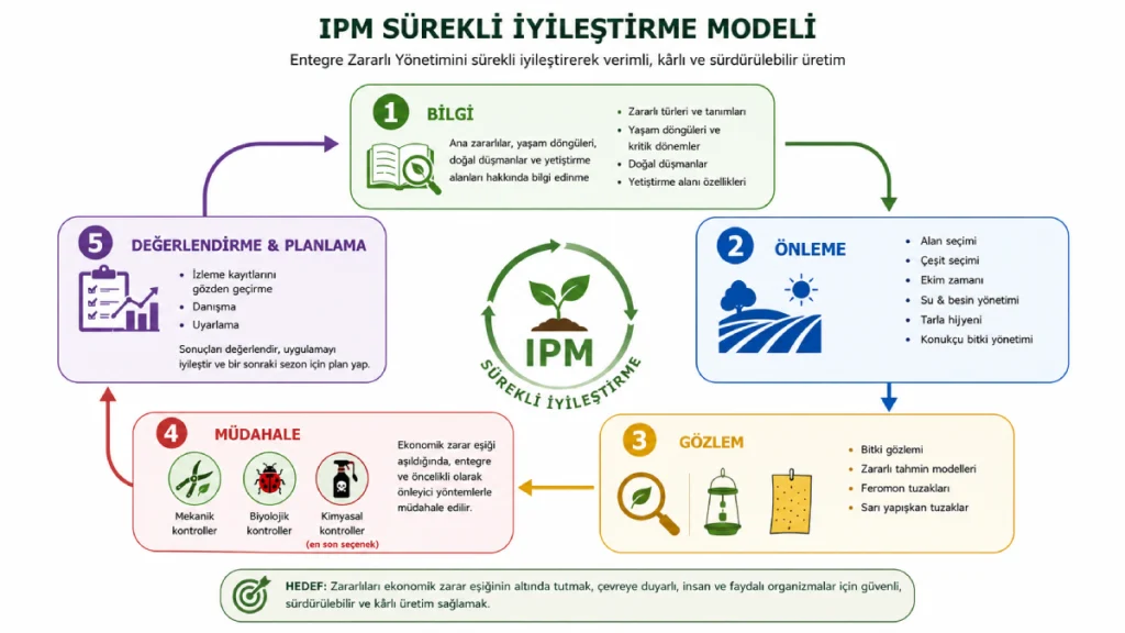 IPM SÜREKLİ İYİLEŞTİRME MODELİ