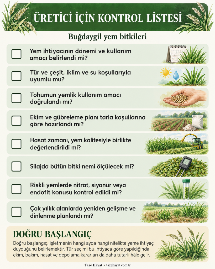 Buğdaygil yem bitkilerinde tür seçimi, ekim, hasat, silaj nemi, yem güvenliği ve yeniden gelişme planlamasını kapsayan sekiz maddelik üretici kontrol listesi.