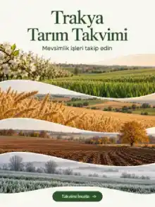 Trakya Tarım Takvimi: dört mevsimde tarla ve bahçe görünümü.